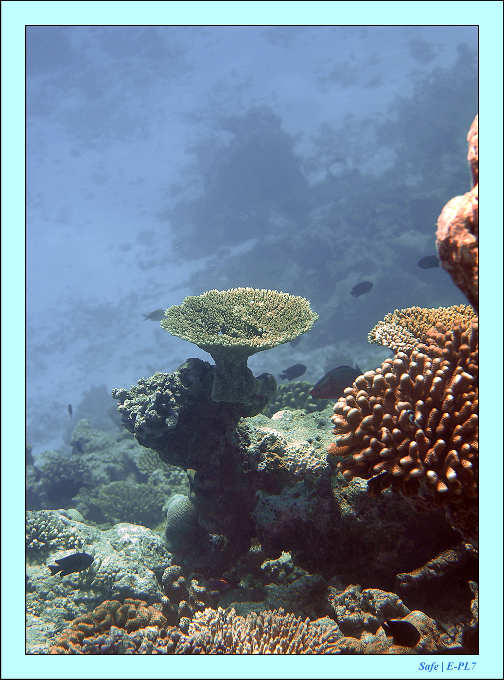 2023 - 07 - Sandies Bathala - 230